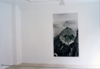 c-print sticked on wall, 200 x 100 cm, no twist cable, variable dimension 